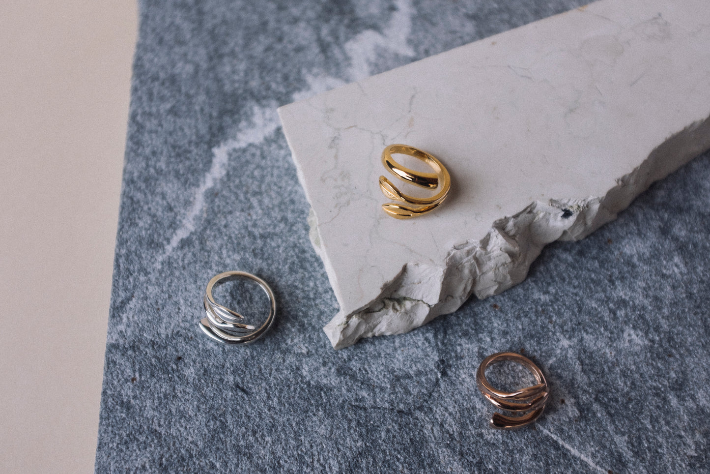 Anillo Ramas