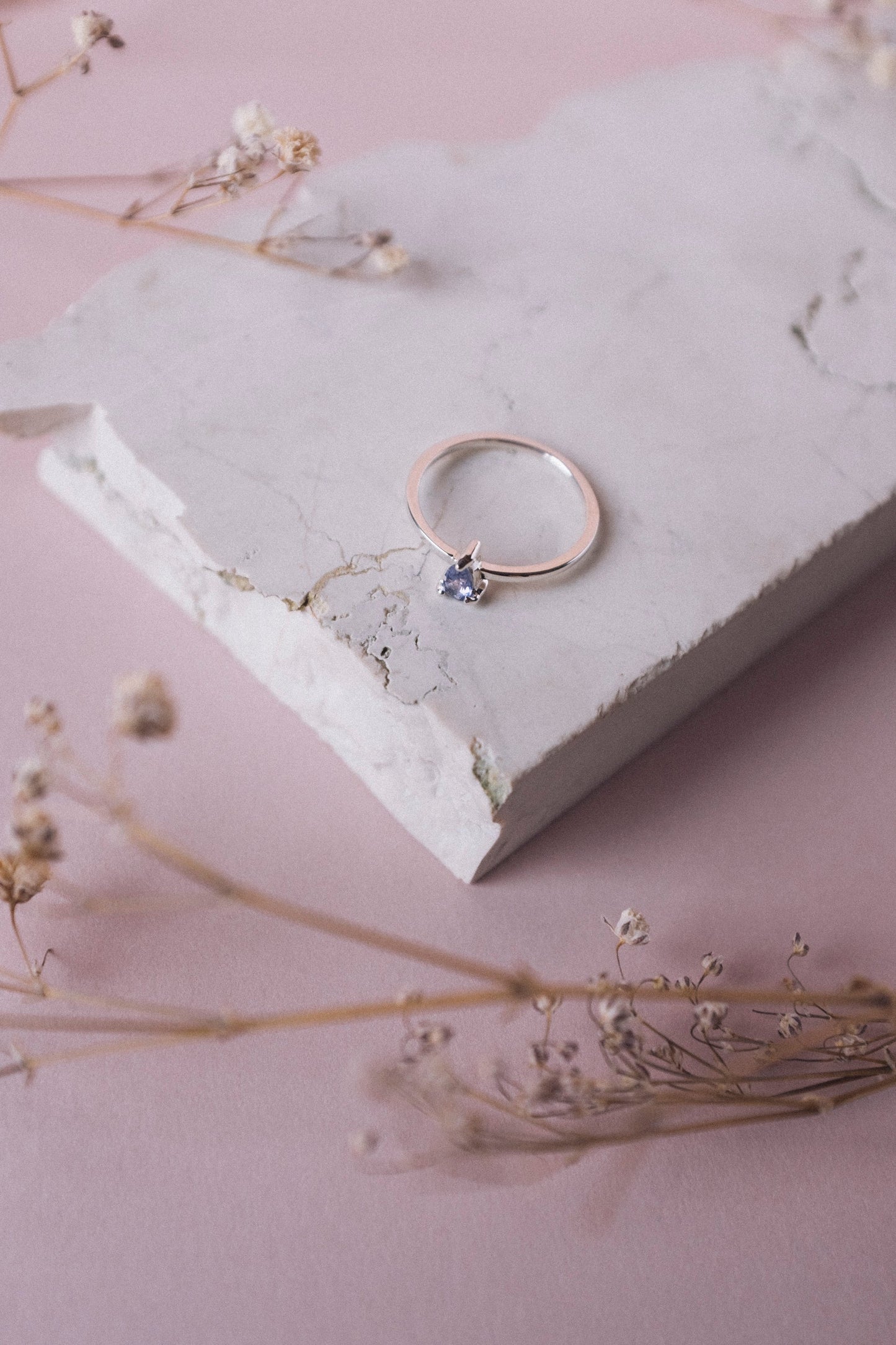 Anillo G-ota