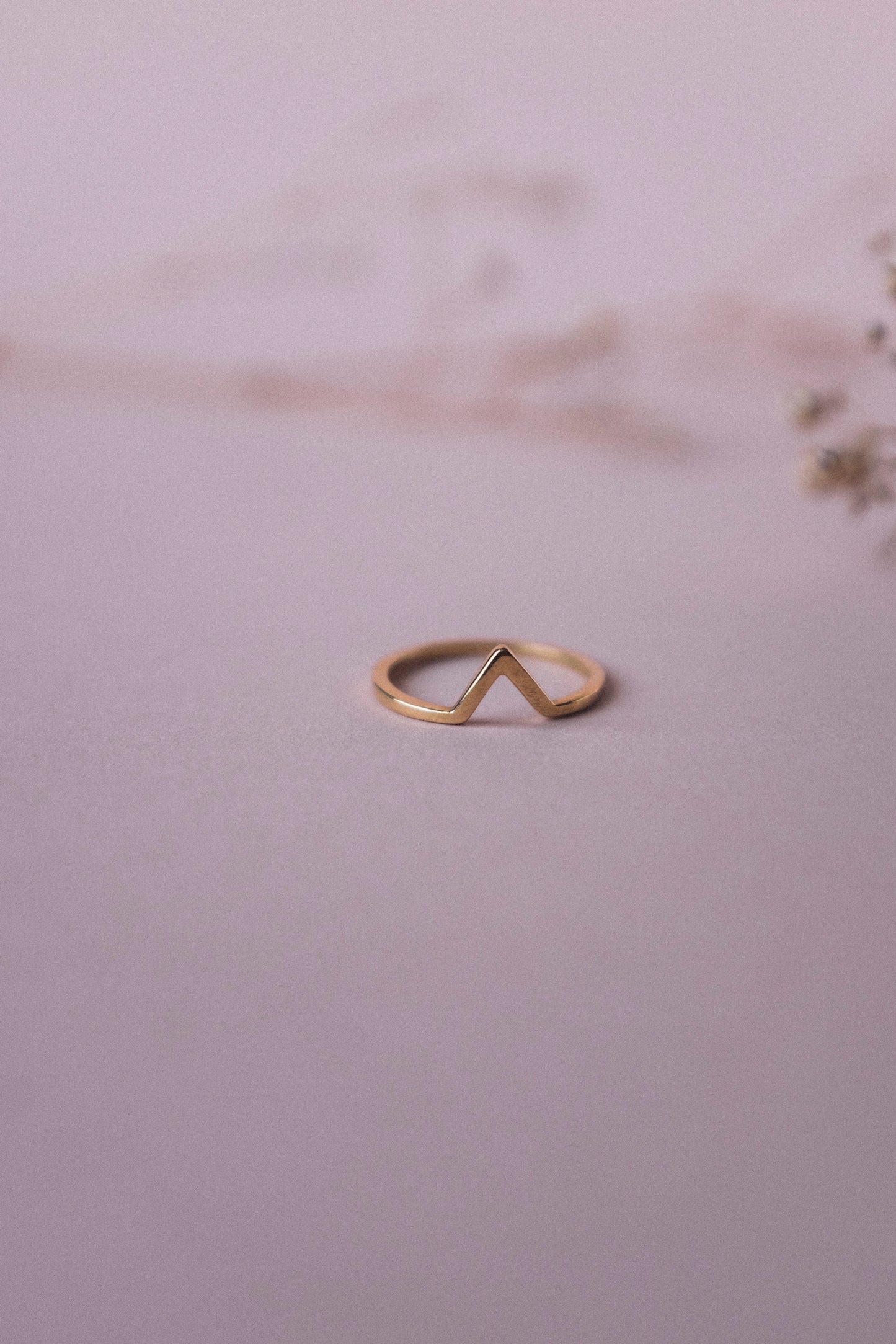 Anillo Alfa y P