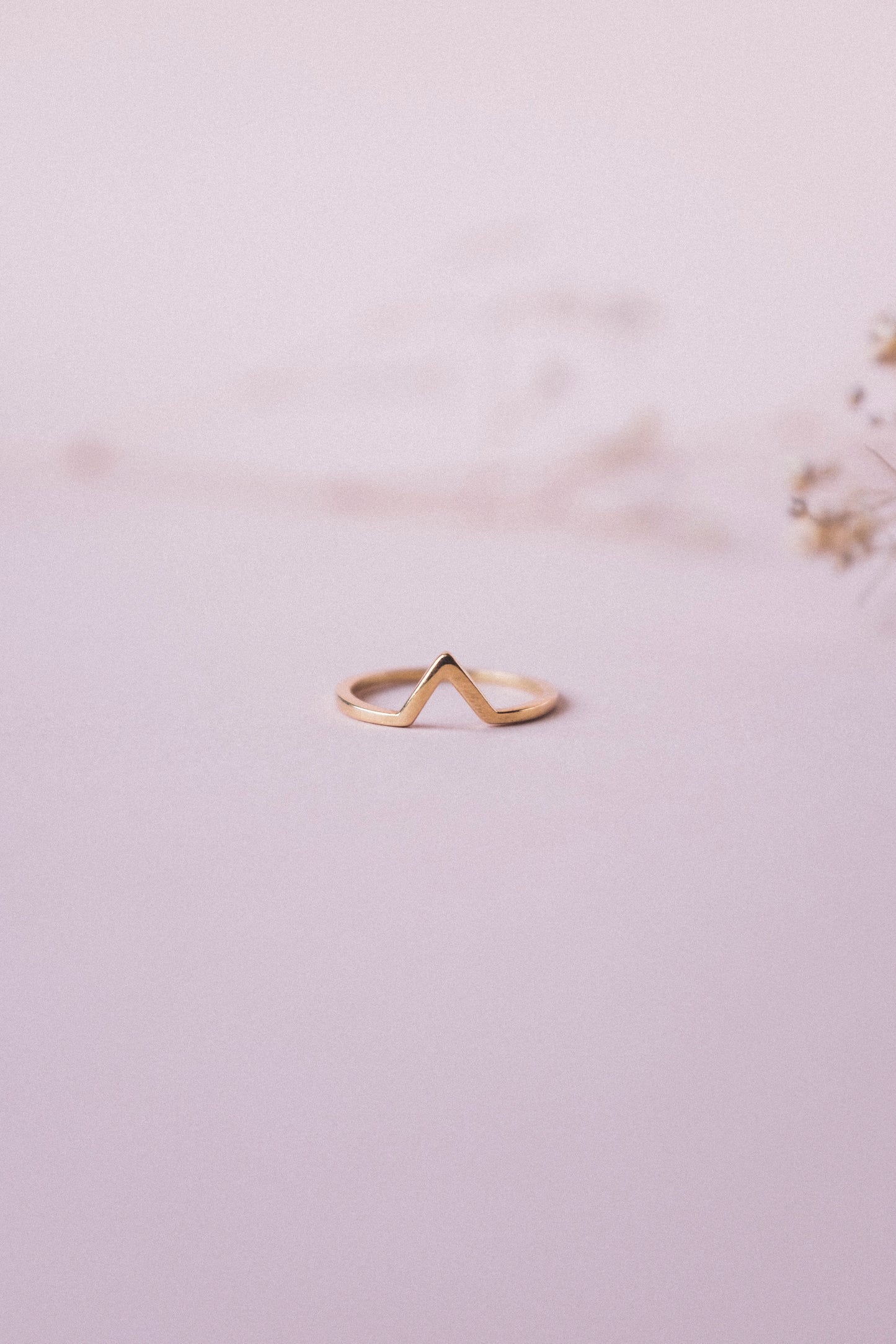 Anillo Alfa y P