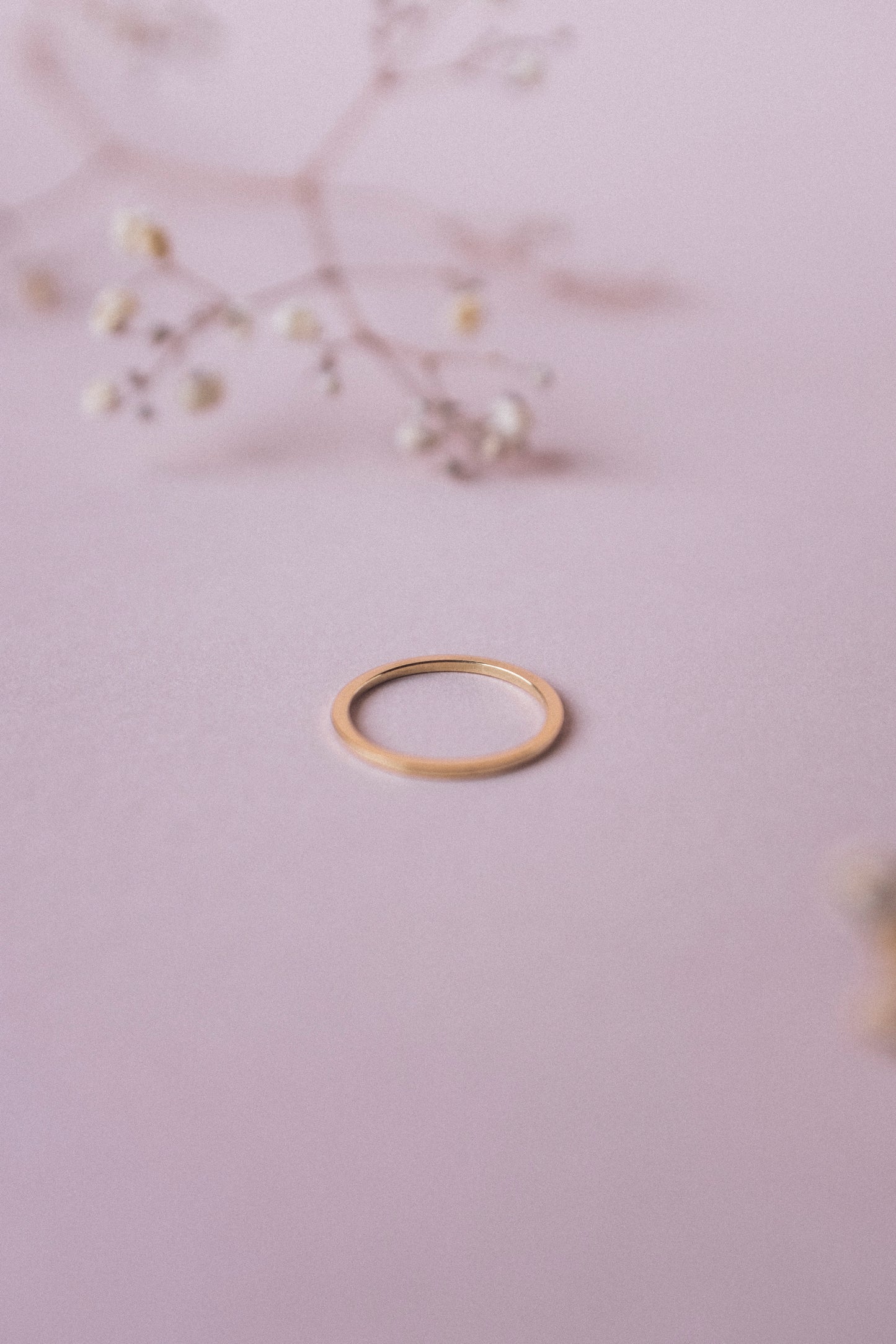 Anillo Alfa y P