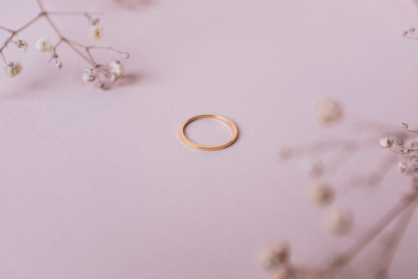 Anillo Alfa y P