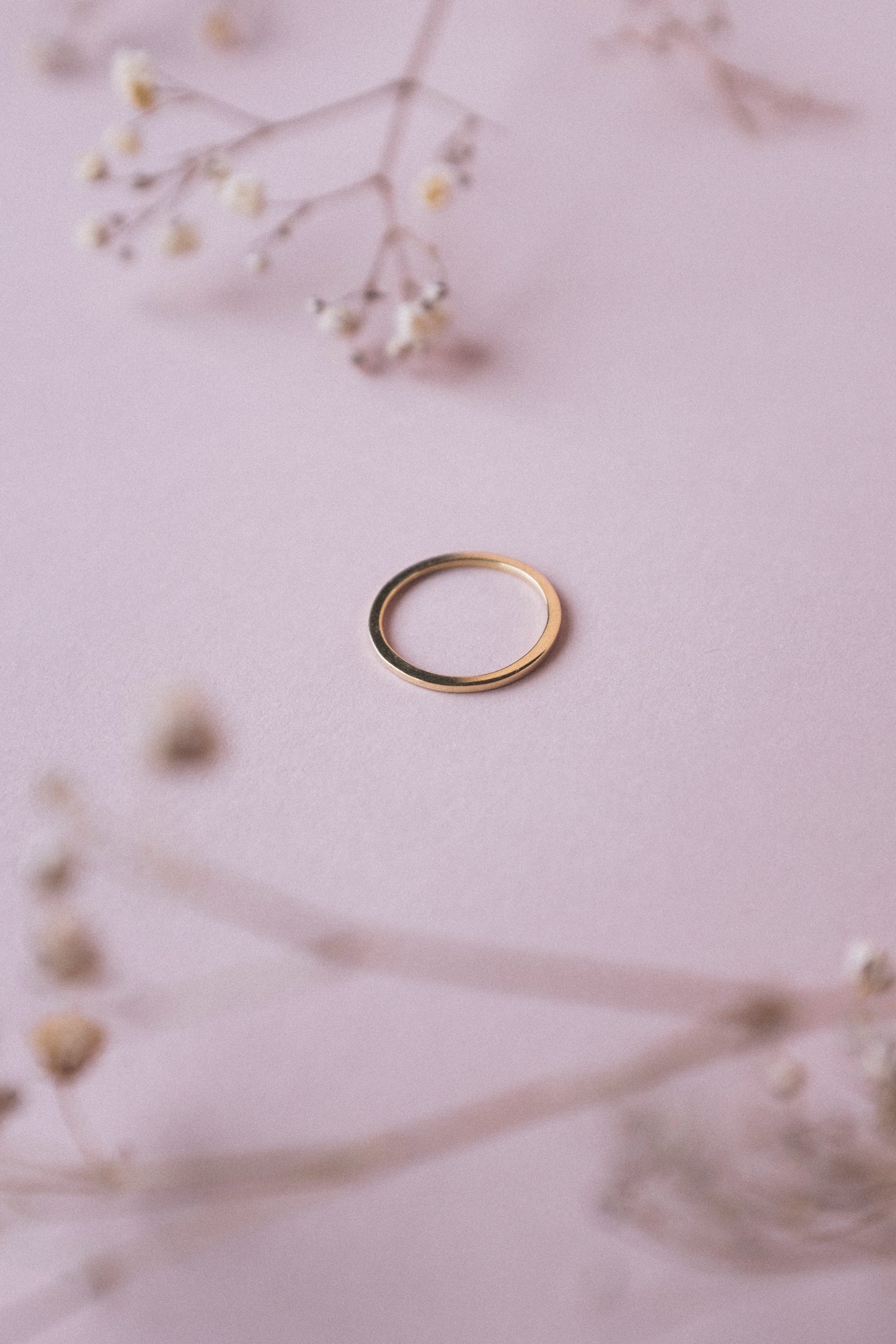 Anillo Alfa y P