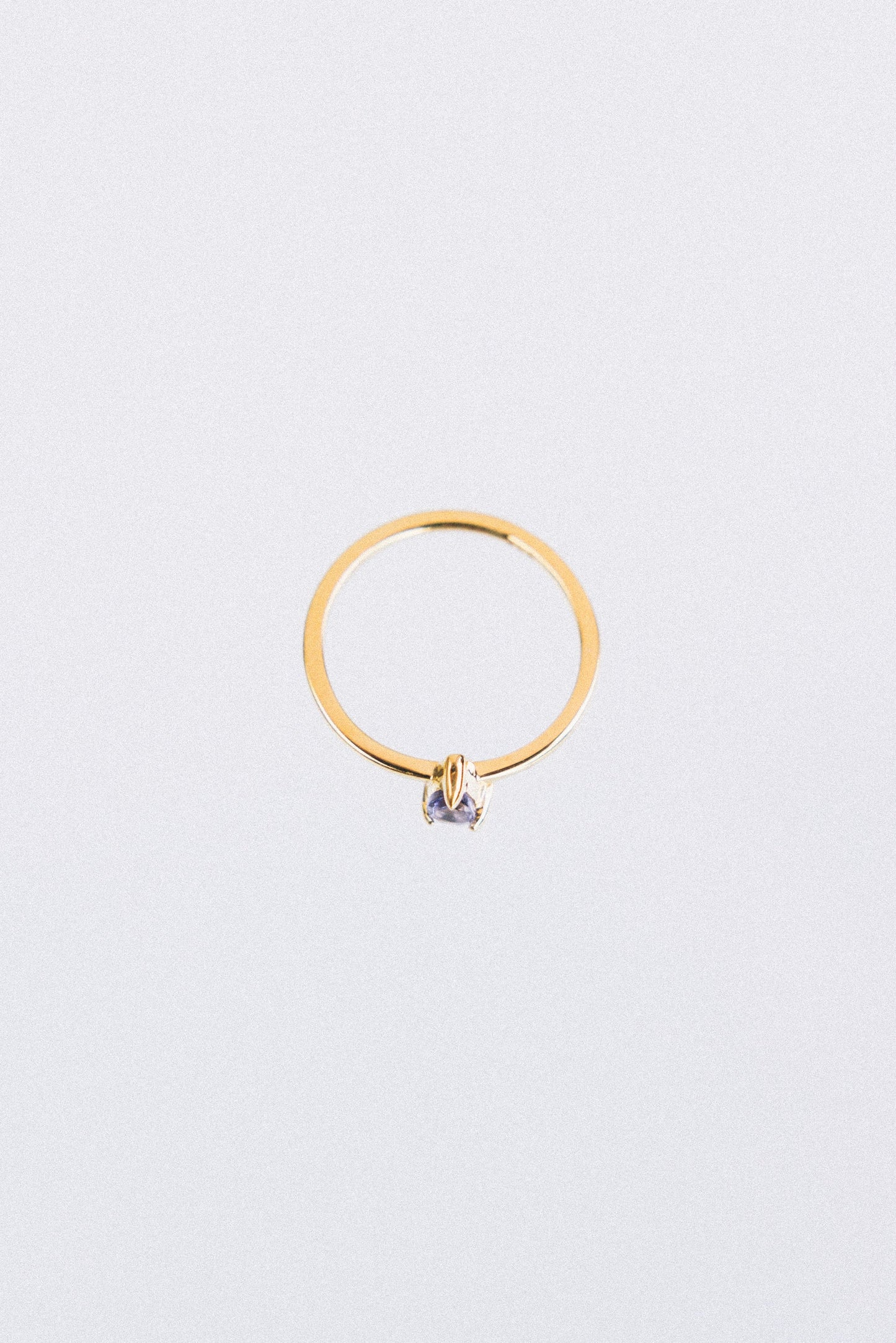 Anillo G-ota