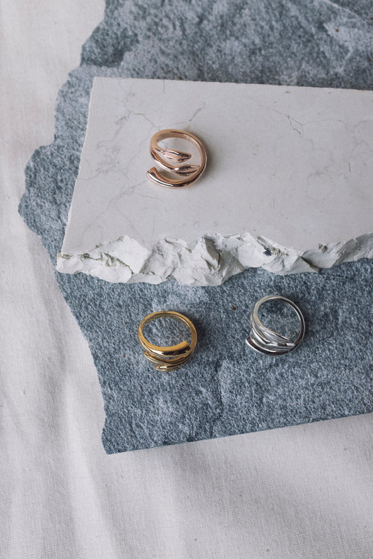 Anillo Ramas