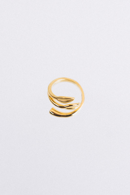 Anillo Ramas