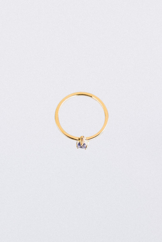 Anillo G-ota